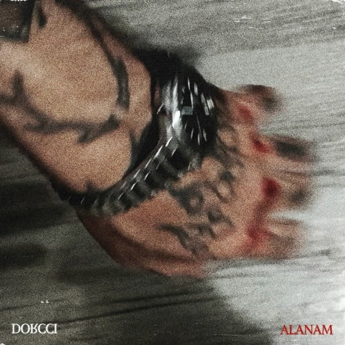 Dorcci-Alanam